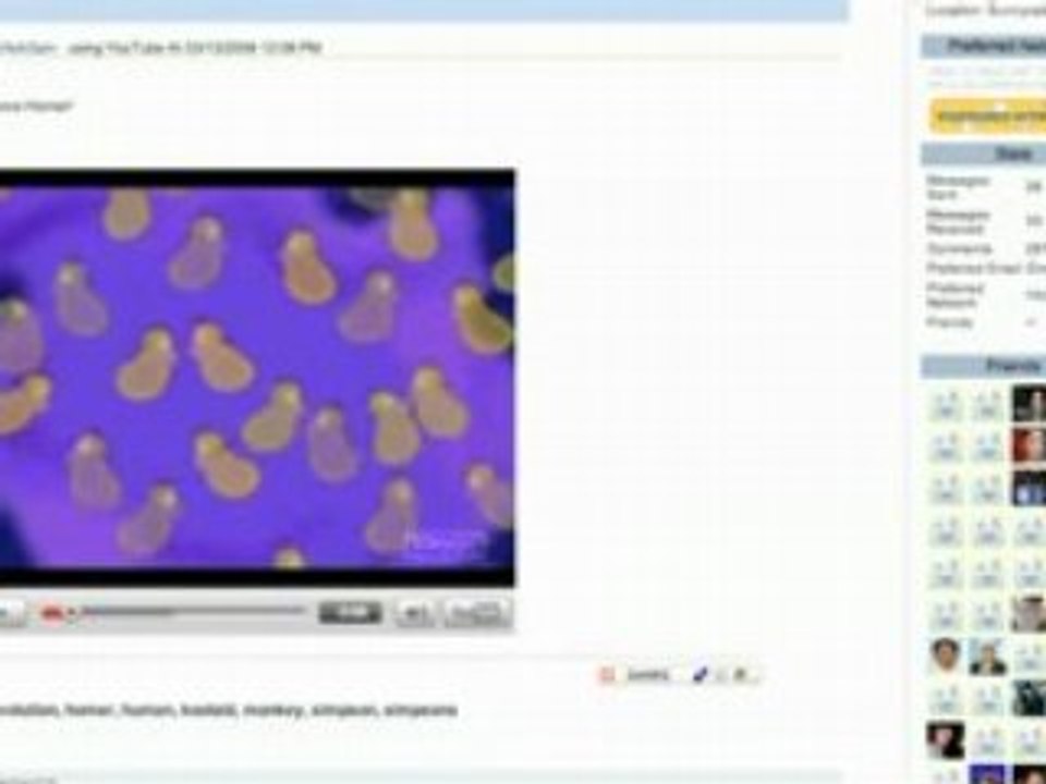 Message Dance - YouTube to Twitter