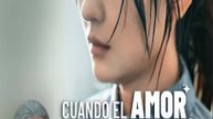 [Doblado ESP] Cuando el Amor Se Desvaneció serie completa