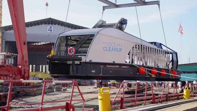 Intelligenza artificiale e cloud per salvare gli oceani