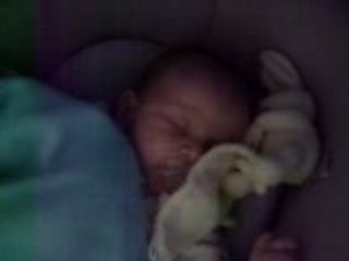 Boubou Loïc en pleine séance de ronflement