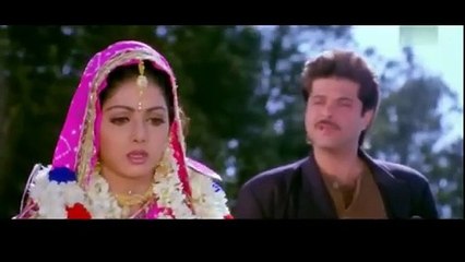 Janam Meri Janam / Mr. Bechara (1996)/ Udit Narayan, Alka Yagnik, Anil Kapoor , Sri Devi