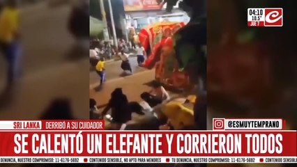 Elefante fuera de control arremetió contra todos en un desfile