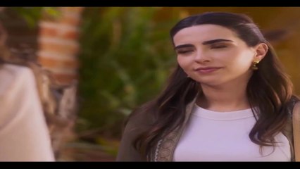 Monteverde Capítulo 40: ¡Descubre los Secretos de la Selva! 🌿