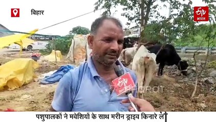 बिहार में बाढ़ से हाहाकार, मरीन ड्राइव बना अस्थायी तबेला, किसानों ने भी ली शरण