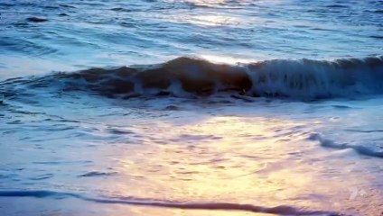 Home and Away 8543 7th August 2025