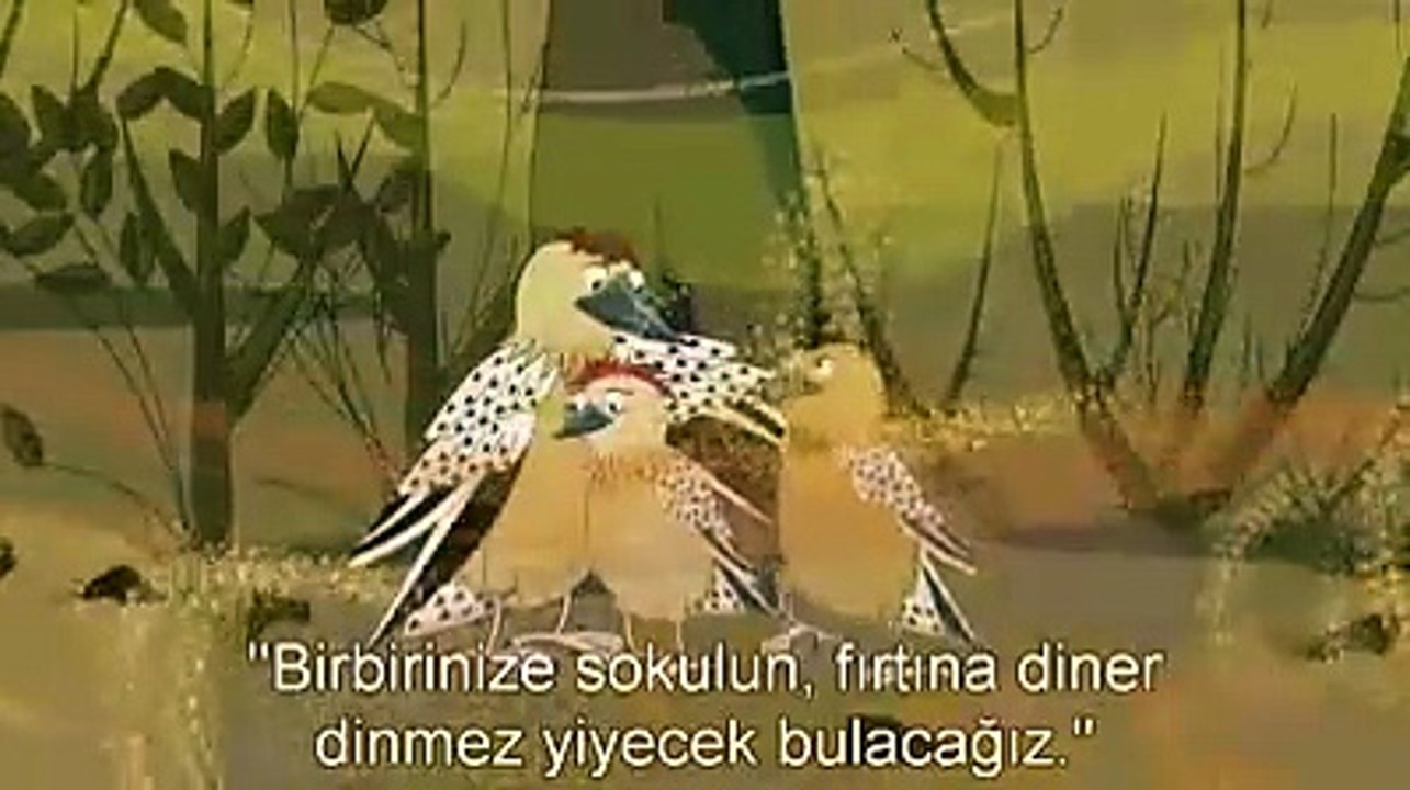 Kaktüs neden çöllerin en verimli bitkisidir