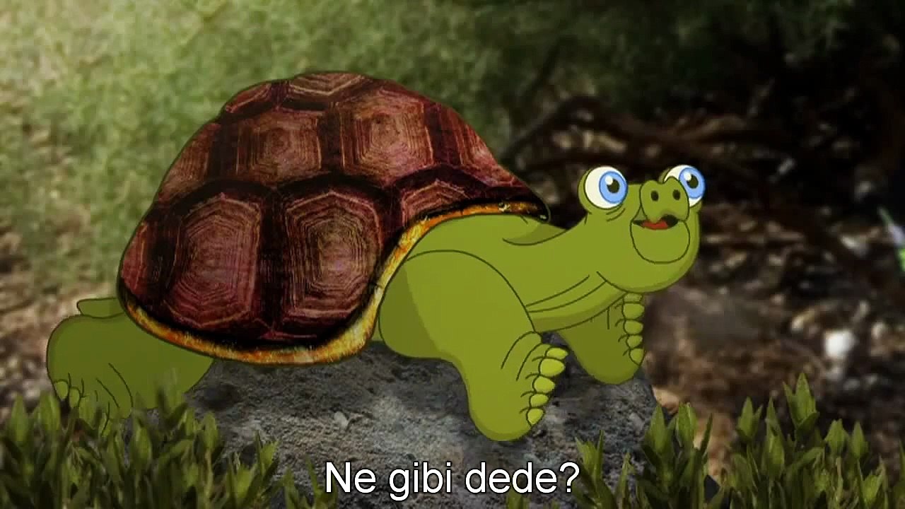 Ornitorenkin neden bu kadar sıradışı görünümü var