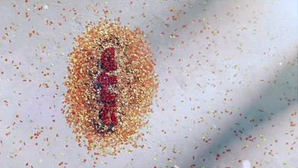 La bande-annonce du film "Le sang à la tête" sur Arte.