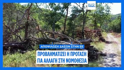 Ειδήσεις | 7 Αυγούστου 2025 - Μεσημβρινό δελτίο