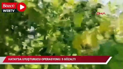Hatay'da uyuşturucu operasyonu: 5 gözaltı