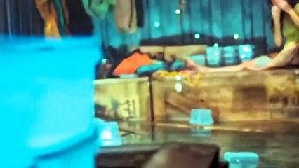 "Trapped at Sea: A Mother’s Last Hope to Save Her Child 💔🌊"and