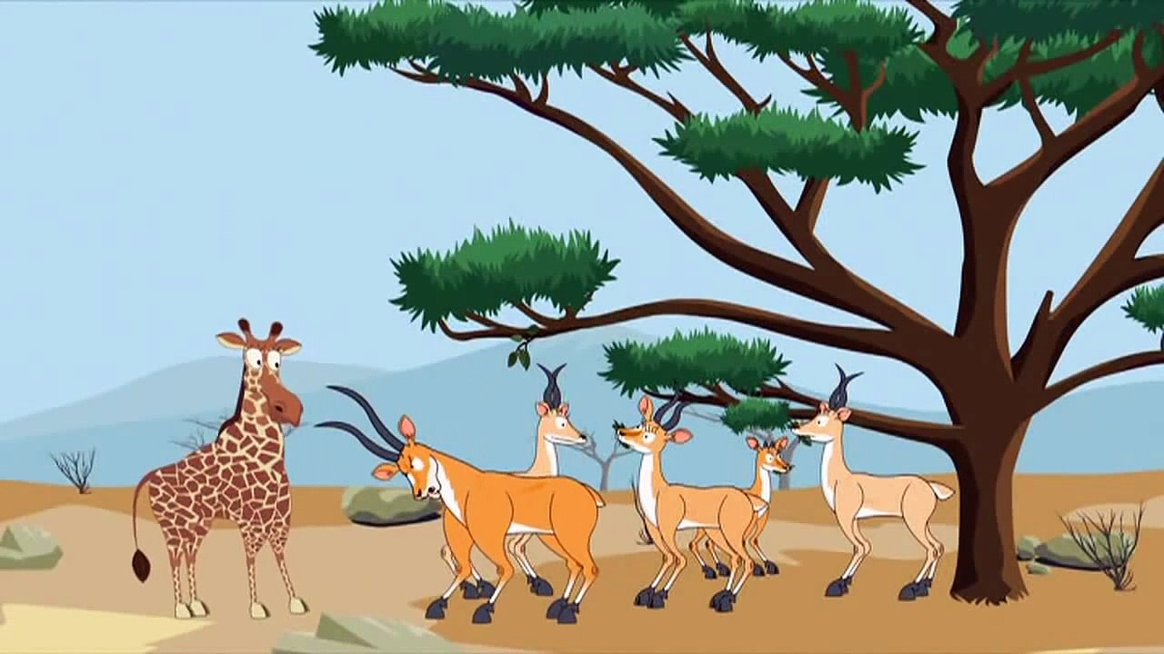 Zürafaların neden uzun boyunları var
