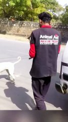 M0208047_toyching story when mother dog begs passerby to save her baby Re..._part2