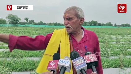 गढ़वा के श्रीबंशीधर नगर के एक किसान की खूब हो रही चर्चा, आधुनिक खेती कर अन्नदाताओं के लिए बने प्रेरणास्रोत