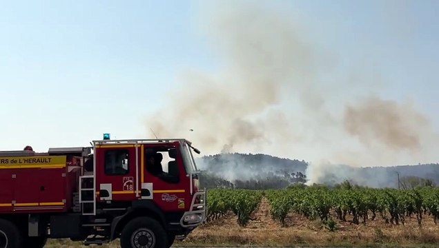 Des moyens importants déployés pour lutter contre les flammes