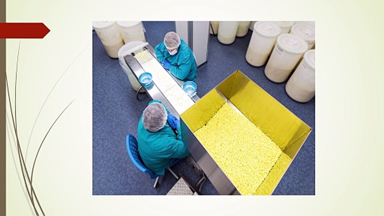 Comprehensive Solutions from Bulk Grain Hopper Silo Suppliers in India