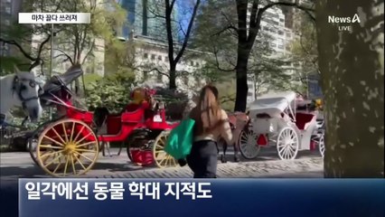 뉴욕 한복판에 쓰러진 말…동물학대 논란