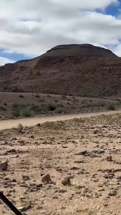 LA DIVERSITÉ des paysages de Namibie