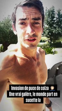 Claude Dartois envahi par des punaises de colza pendant ses vacances.