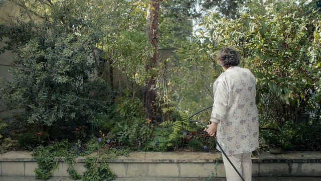 Mi postre favorito - Tráiler Oficial