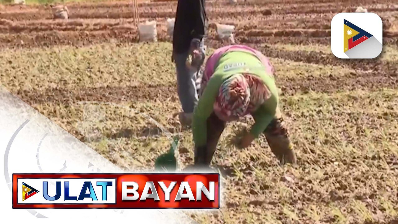 Malacañang, nilinaw ang dahilan ng pagpapatupad ng import suspension sa bigas | ulat ni Cleizl Pardilla