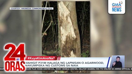 Mahigit P31M halaga ng lapnisan o agarwood, nakumpiska ng Customs sa NAIA | 24 Oras