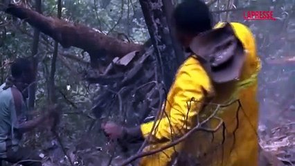 Ghana, i ministri della Difesa e dell'Ambiente morti in un incidente in elicottero: le immagini dei soccorsi