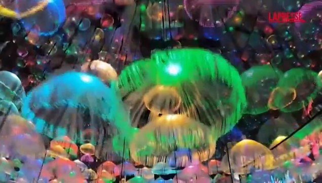 Filadelfia, lo spettacolo mozzafiato del festival delle lanterne cinesi