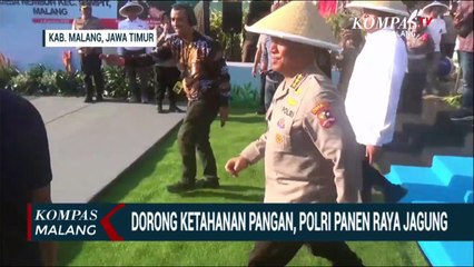 Dorong Ketahanan Pangan, Polri Panen Raya Jagung