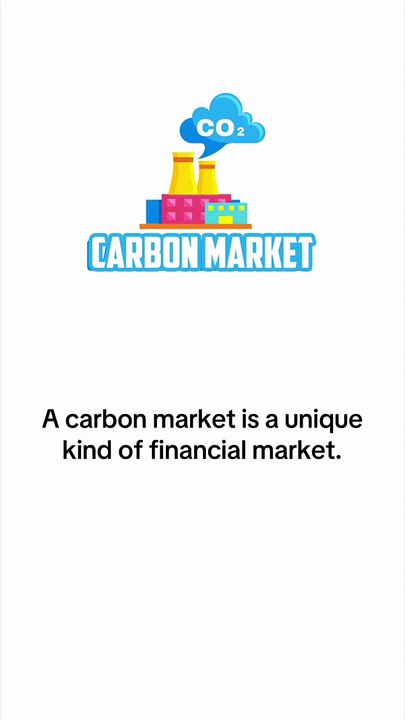 What is Carbon Market?