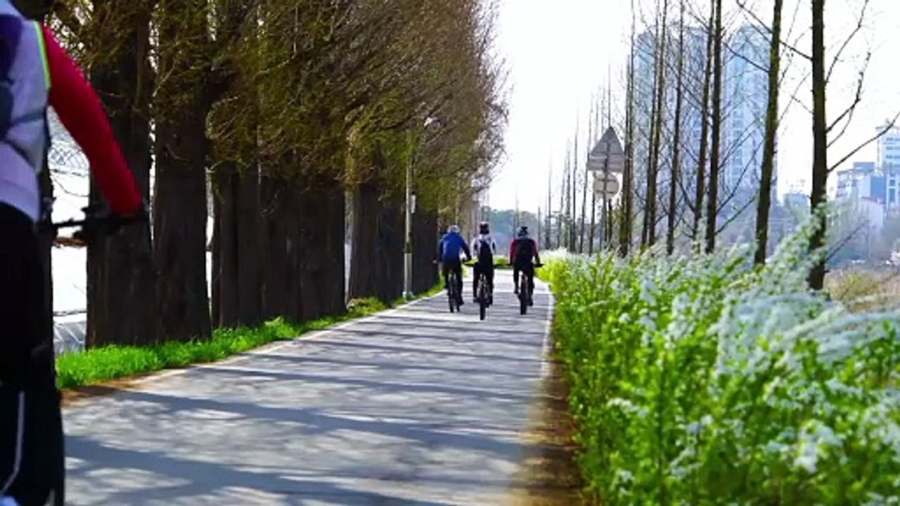 Riding bicycle