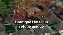 Au cœur du Sine Saloum, là où la nature règne en maître…