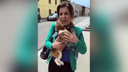 VEDE PER LA PRIMA VOLTA LA MAMMA CHE L’HA ADOTTATO E GUARDATE CHE REAZIONE!!
