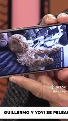 Guillermo Francella se enfrentó con su hija Yoyi por un inesperado motivo. Enterate.