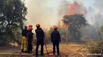 Il più grande incendio estivo in Francia devasta 17.000 ettari