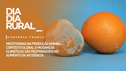 Micotoxinas na produção animal: contexto global e mudanças climáticas são responsáveis no aumento da incidência