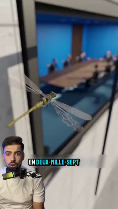 L’ivention de la libellule