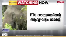 പാലക്കാട് PT 5 ദൗത്യത്തിന്റെ ആദ്യഘട്ടം നാളെ ആരംഭിക്കും; പിടികൂടി ചികിത്സിക്കാൻ അനുമതി