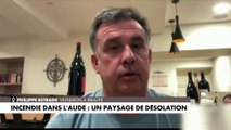 Incendie dans l'Aude : «On a peur de ne pas pouvoir rebondir», confie un vigneron
