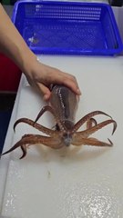 Cutting the Fish #fish #viral