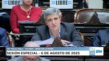 Diputado Yedlin, Pablo - UxP - Sesión 06-08-2025 - PL