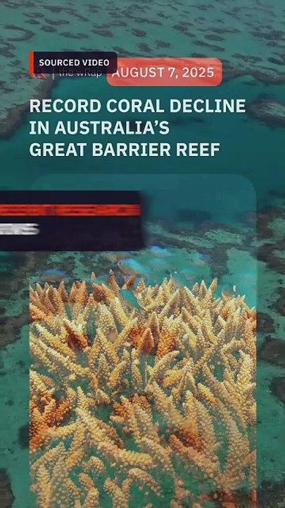 Australia’s Great Barrier Reef suffers record coral decline following mass bleaching