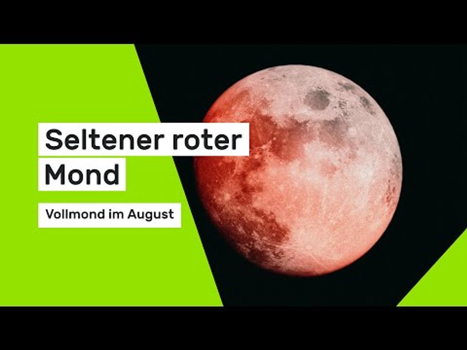 Seltener roter Mond: Vollmond am 09.08.2025