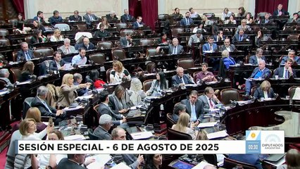 VOTACIÓN - Decreto de Facultades Delegadas N° 345-25 - Sesión 06-08-2025