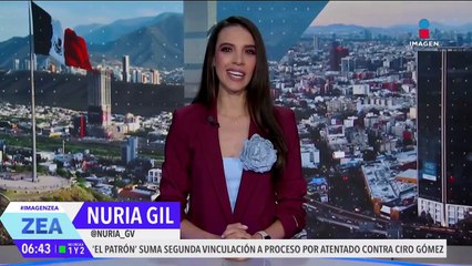 Expertos rechazan nado con orcas en Baja California Sur | Noticias con Francisco Zea