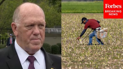Tom Homan Asked About Proposal To Grant Migrant Farm Workers 'Pass' To Return To US To Work