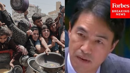'Starvation Must Not Be Weaponized': South Korea UN Rep Calls On Israel To End Gaza Aid Blockade