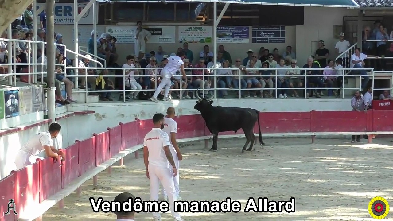 2025 07 29 Vendôme