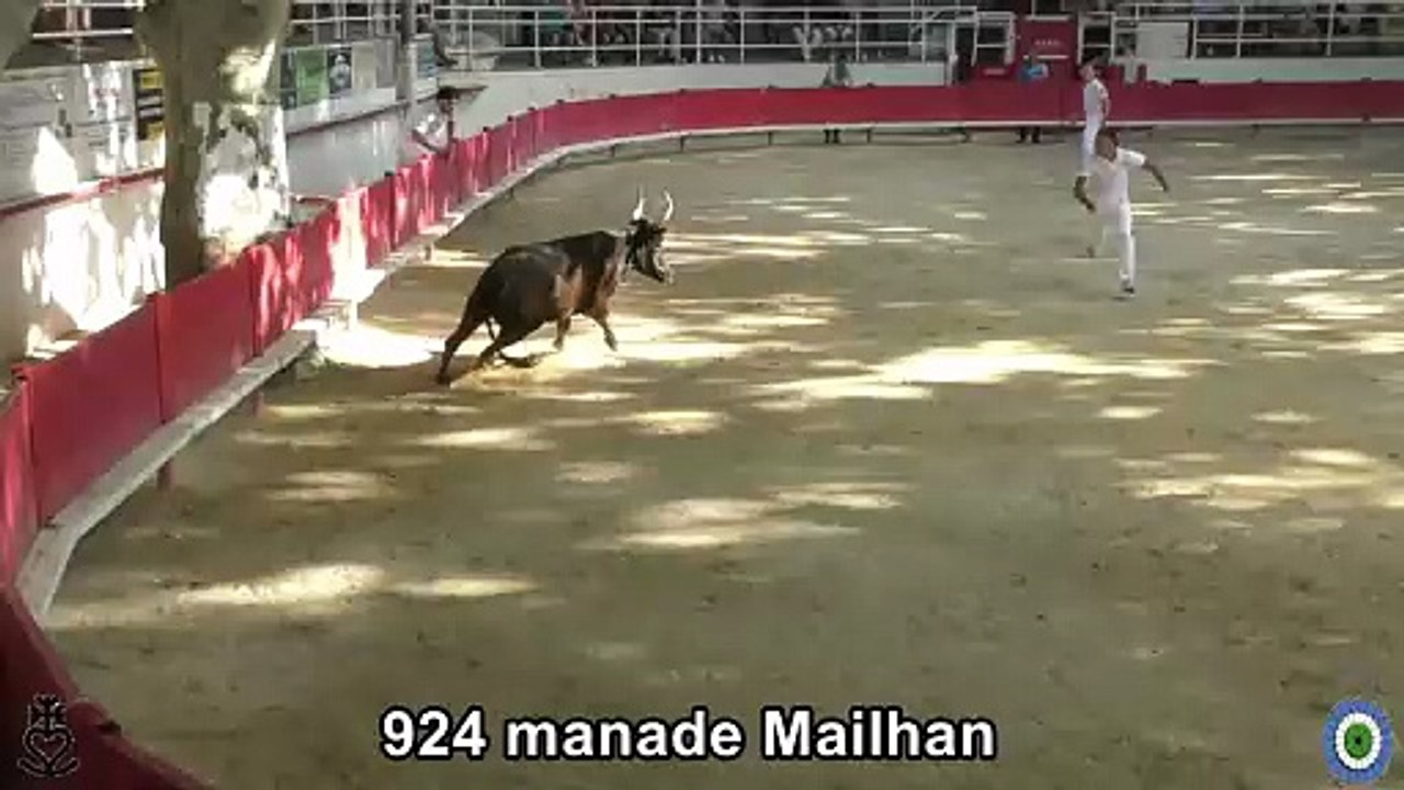 2025 07 25 Mailhan 924