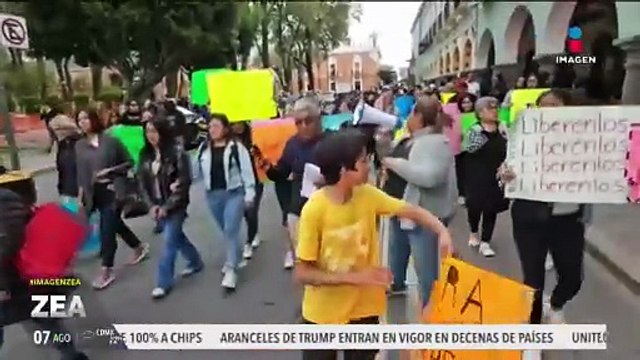 Exigen aparición de 14 perritos callejeros detenidos en Tlaxcala | Noticias con Francisco Zea